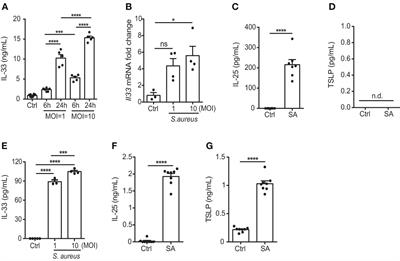 Butyrate inhibits Staphylococcus aureus-aggravated dermal IL-33 expression and skin inflammation through histone deacetylase inhibition